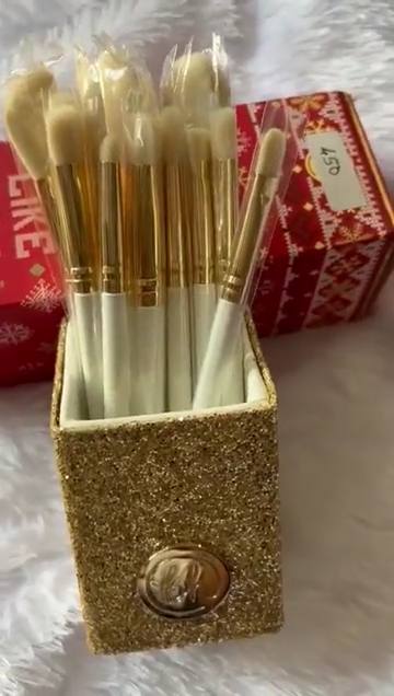 there's snowbody 12 piece bh brushes - Image 4